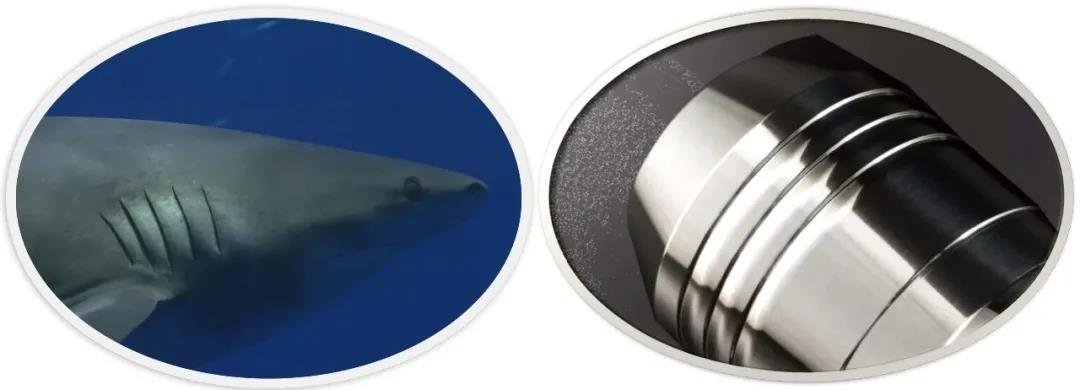 1618191453302145.jpg 4.jpg